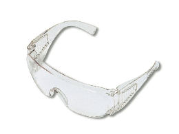 Eyeglass Protectors